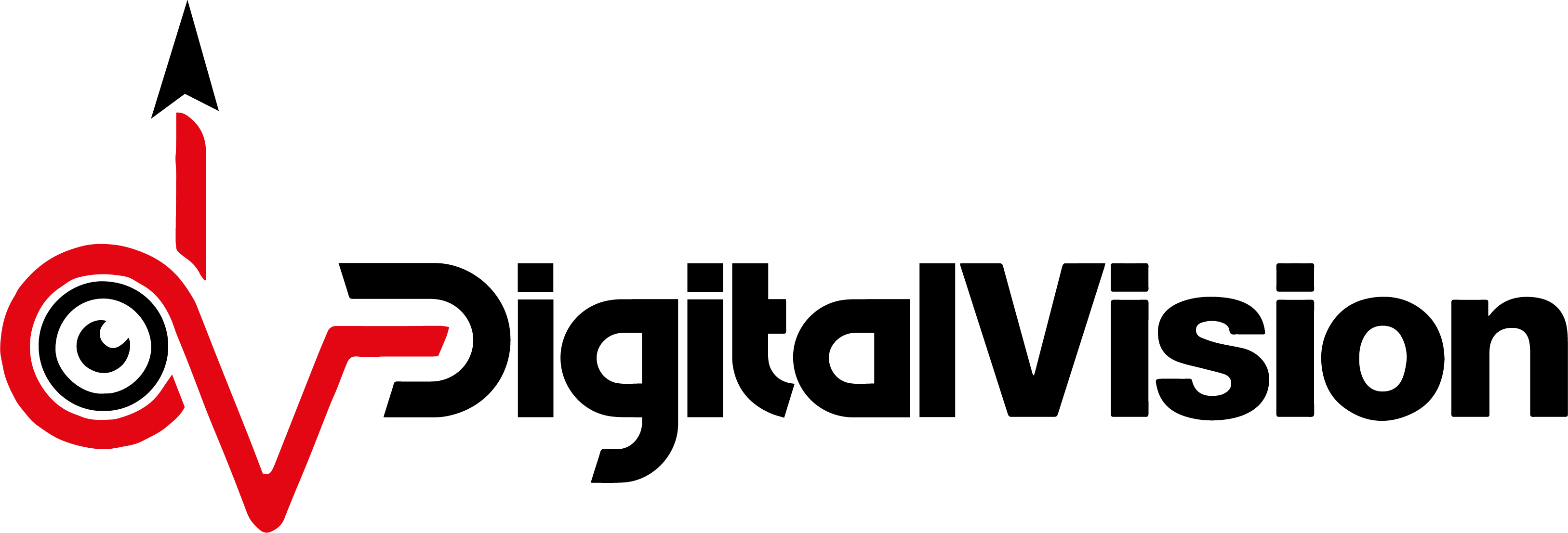 Digital Vision communication